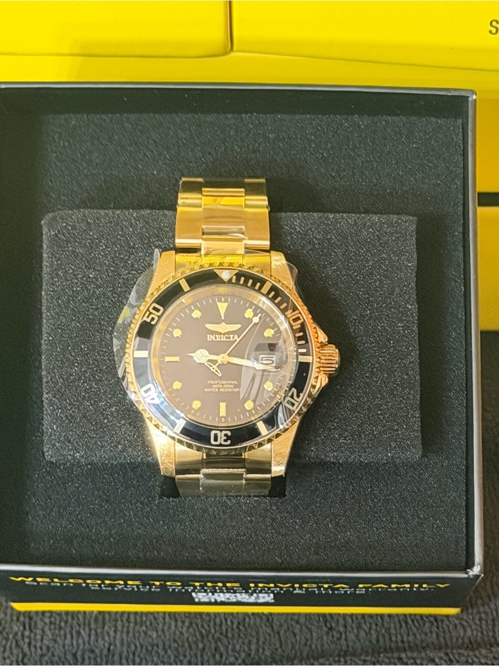 Invicta Pro Diver Coastpath Men's Watch, 40mm Gold (26975)